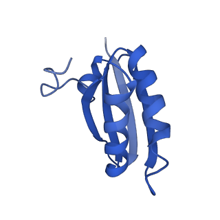 20208_6owf_k_v1-3
Structure of a synthetic beta-carboxysome shell, T=3