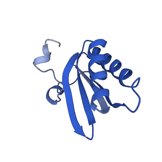 20208_6owf_m_v1-2
Structure of a synthetic beta-carboxysome shell, T=3