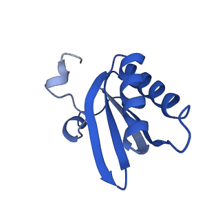 20208_6owf_m_v1-3
Structure of a synthetic beta-carboxysome shell, T=3