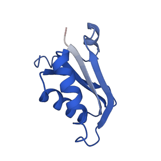 20208_6owf_n_v1-2
Structure of a synthetic beta-carboxysome shell, T=3