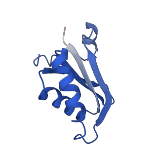 20208_6owf_n_v1-3
Structure of a synthetic beta-carboxysome shell, T=3