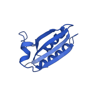 20208_6owf_p_v1-3
Structure of a synthetic beta-carboxysome shell, T=3