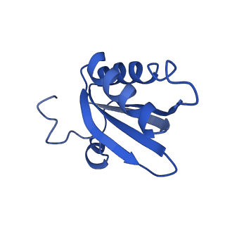 20208_6owf_q_v1-2
Structure of a synthetic beta-carboxysome shell, T=3