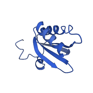 20208_6owf_q_v1-3
Structure of a synthetic beta-carboxysome shell, T=3