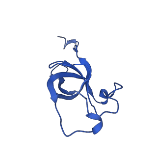 20208_6owf_r_v1-2
Structure of a synthetic beta-carboxysome shell, T=3
