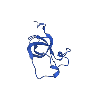 20208_6owf_r_v1-3
Structure of a synthetic beta-carboxysome shell, T=3