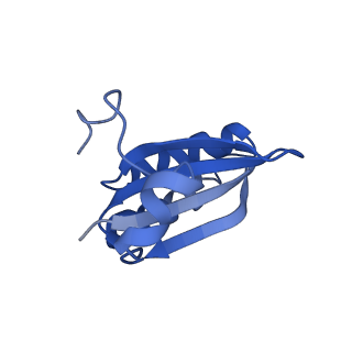 20208_6owf_t_v1-2
Structure of a synthetic beta-carboxysome shell, T=3