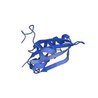 20208_6owf_t_v1-3
Structure of a synthetic beta-carboxysome shell, T=3