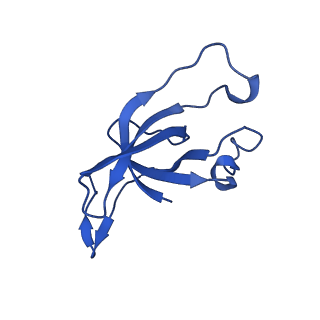 20208_6owf_u_v1-2
Structure of a synthetic beta-carboxysome shell, T=3