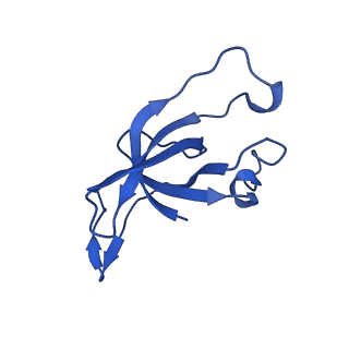 20208_6owf_u_v1-3
Structure of a synthetic beta-carboxysome shell, T=3