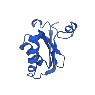 20208_6owf_v_v1-2
Structure of a synthetic beta-carboxysome shell, T=3