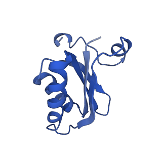 20208_6owf_v_v1-3
Structure of a synthetic beta-carboxysome shell, T=3