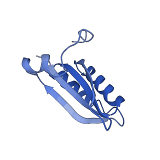 20208_6owf_w_v1-2
Structure of a synthetic beta-carboxysome shell, T=3