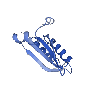 20208_6owf_w_v1-3
Structure of a synthetic beta-carboxysome shell, T=3