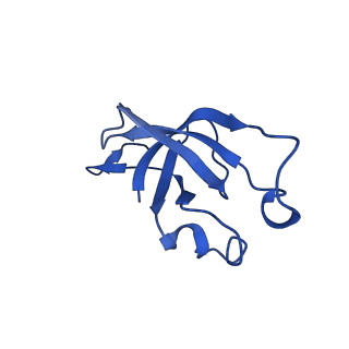 20208_6owf_x_v1-2
Structure of a synthetic beta-carboxysome shell, T=3