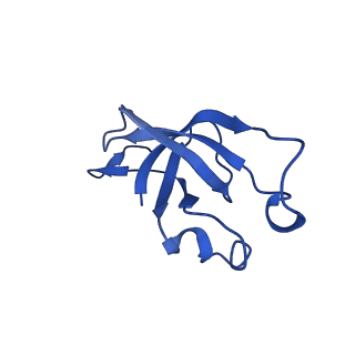 20208_6owf_x_v1-3
Structure of a synthetic beta-carboxysome shell, T=3