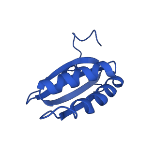 20208_6owf_y_v1-2
Structure of a synthetic beta-carboxysome shell, T=3