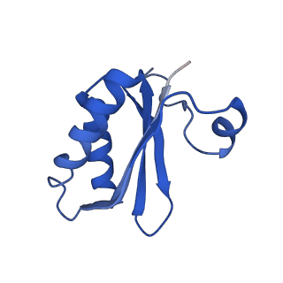 20208_6owf_z_v1-2
Structure of a synthetic beta-carboxysome shell, T=3