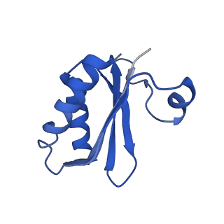 20208_6owf_z_v1-3
Structure of a synthetic beta-carboxysome shell, T=3