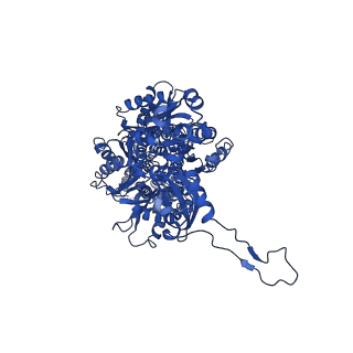 20216_6ows_A_v1-3
Cryo-EM structure of an Acinetobacter baumannii multidrug efflux pump