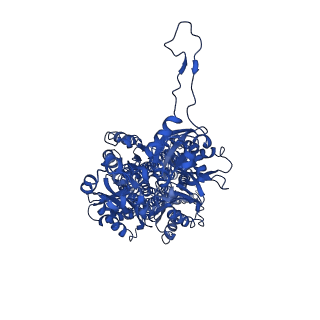 20216_6ows_C_v1-2
Cryo-EM structure of an Acinetobacter baumannii multidrug efflux pump