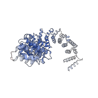 20217_6owt_A_v1-1
Structure of SIVsmm Nef and SMM tetherin bound to the clathrin adaptor AP-2 complex