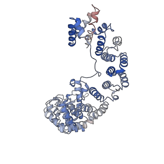 20217_6owt_B_v1-1
Structure of SIVsmm Nef and SMM tetherin bound to the clathrin adaptor AP-2 complex