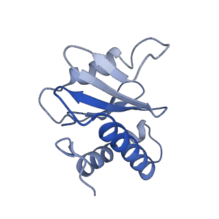 20217_6owt_M_v1-1
Structure of SIVsmm Nef and SMM tetherin bound to the clathrin adaptor AP-2 complex