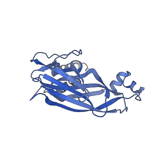 13103_7oxp_C_v1-1
Cryo-EM structure of yeast Sei1