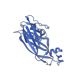 13103_7oxp_D_v1-1
Cryo-EM structure of yeast Sei1