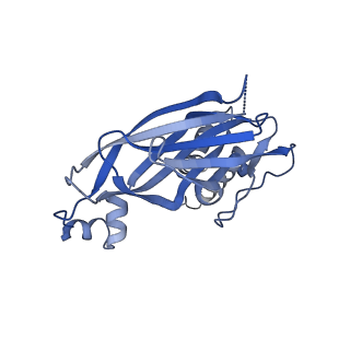 13103_7oxp_G_v1-1
Cryo-EM structure of yeast Sei1
