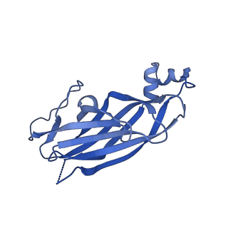 13104_7oxr_B_v1-1
Cryo-EM structure of yeast Sei1 with locking helix deletion