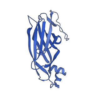 13104_7oxr_E_v1-1
Cryo-EM structure of yeast Sei1 with locking helix deletion