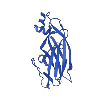 13104_7oxr_J_v1-1
Cryo-EM structure of yeast Sei1 with locking helix deletion