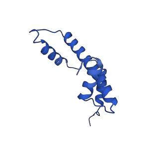 17251_8ox0_A_v1-1
Structure of apo telomeric nucleosome