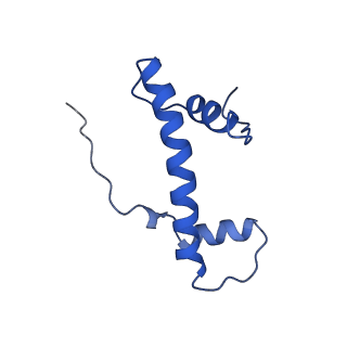 17251_8ox0_B_v1-1
Structure of apo telomeric nucleosome