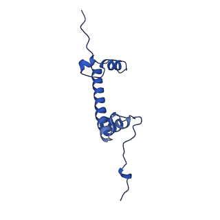 17251_8ox0_C_v1-1
Structure of apo telomeric nucleosome