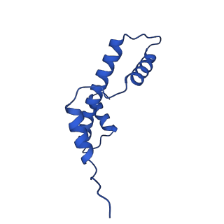 17251_8ox0_E_v1-1
Structure of apo telomeric nucleosome