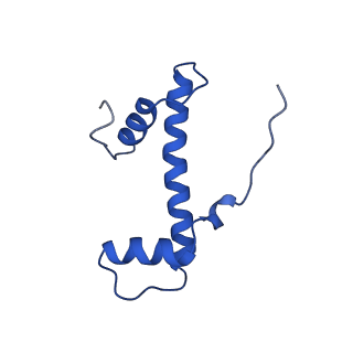 17251_8ox0_F_v1-1
Structure of apo telomeric nucleosome