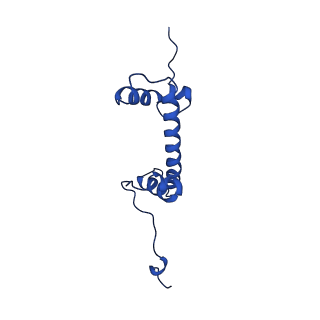 17251_8ox0_G_v1-1
Structure of apo telomeric nucleosome