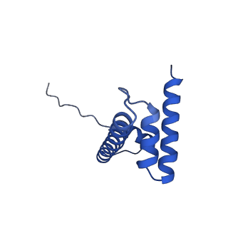 17251_8ox0_H_v1-1
Structure of apo telomeric nucleosome