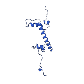 17252_8ox1_C_v1-1
Structure of TRF1core in complex with telomeric nucleosome