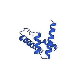 17252_8ox1_D_v1-1
Structure of TRF1core in complex with telomeric nucleosome