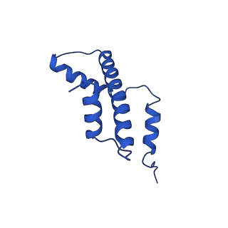17252_8ox1_E_v1-1
Structure of TRF1core in complex with telomeric nucleosome