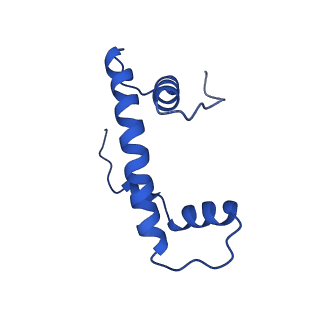 17252_8ox1_F_v1-1
Structure of TRF1core in complex with telomeric nucleosome