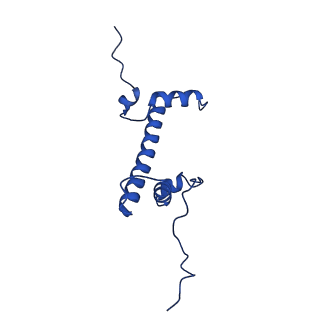 17252_8ox1_G_v1-1
Structure of TRF1core in complex with telomeric nucleosome