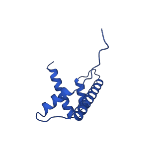 17252_8ox1_H_v1-1
Structure of TRF1core in complex with telomeric nucleosome