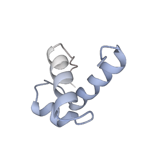 17252_8ox1_L_v1-1
Structure of TRF1core in complex with telomeric nucleosome