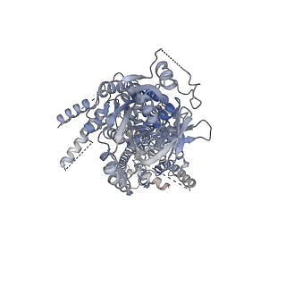 17256_8ox4_A_v1-0
Cryo-EM structure of ATP8B1-CDC50A in E1-ATP conformation