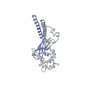 17256_8ox4_B_v1-0
Cryo-EM structure of ATP8B1-CDC50A in E1-ATP conformation